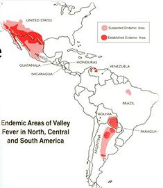 Valley Fever Areas